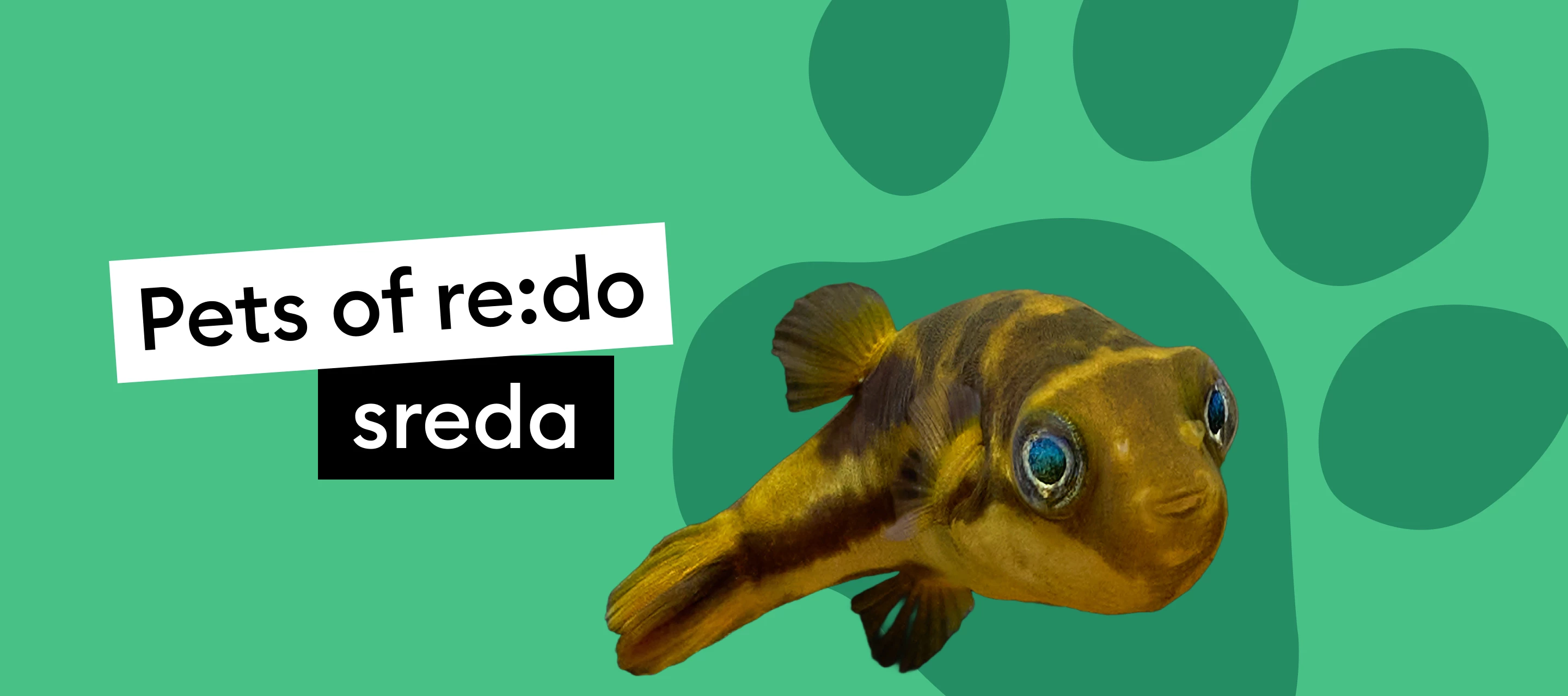 Pets of re:do | Spoznaj Boba