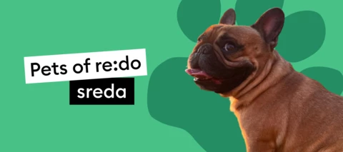 Pets of re:do | Spoznaj Oliverja