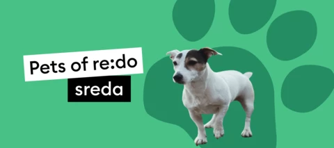 Pets of re:do | Spoznaj Bibo