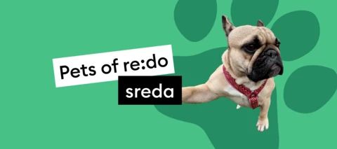 Pets of re:do | Spoznaj Boogie