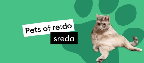Pets of re:do | Spoznaj Aleksandro