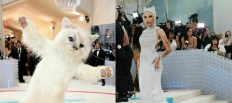 Tukaj je TOP PETka