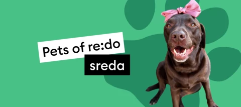 Pets of re:do | Spoznaj Popi