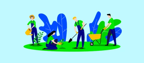 Join Our Reforestation Modeling Challenge