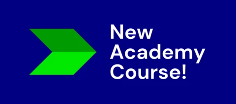 AIMMS Academy Course: Modeling with AIMMS II