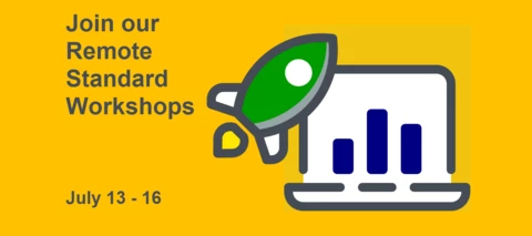 Boost your AIMMS Know-how with our Remote Standard Workshops