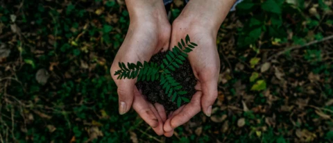 App van de week: Ecosia