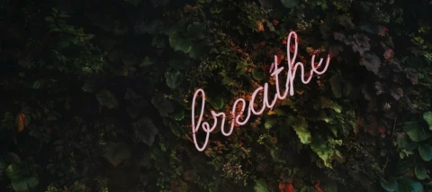 App van de week: Headspace