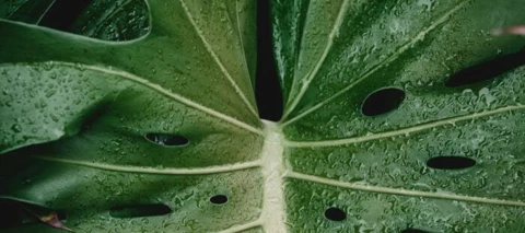 App van de week: Picture this