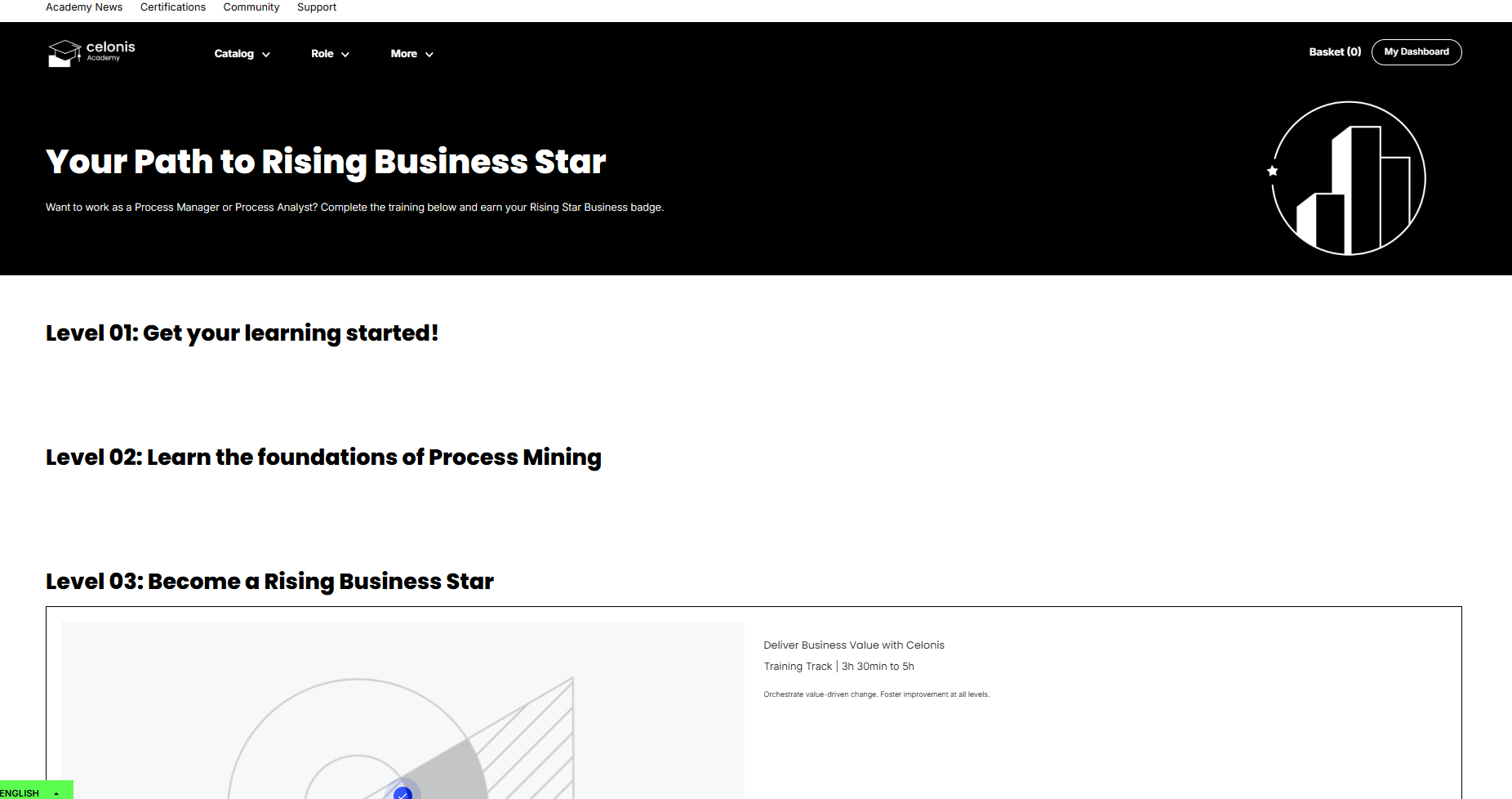 I am unable to see all the levels of the Rising Star Business star 