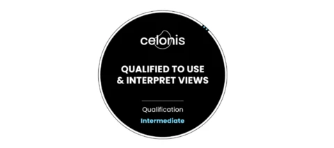 Elevate and Showcase Your Views Skills!