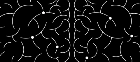 Introducing Community Connect: Build Connections, Build Your Brand