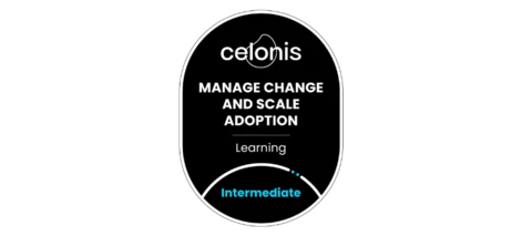 Ready to Scale Celonis Adoption?