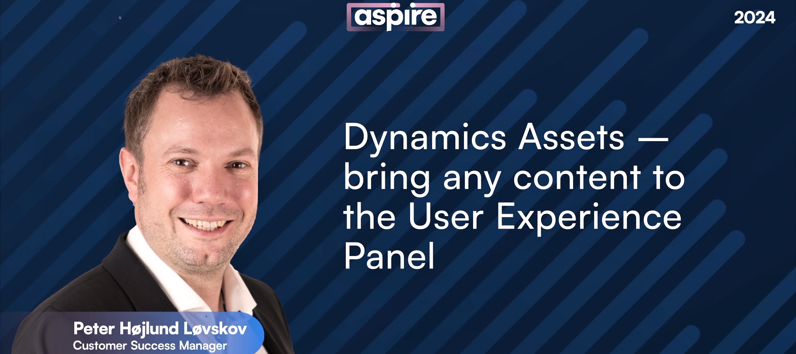 Dynamics Assets – bring any content to the User Experience Panel