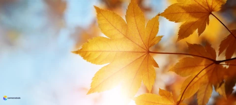 What's your favourite season?