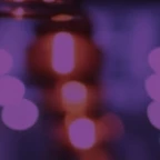 Share Best Practices