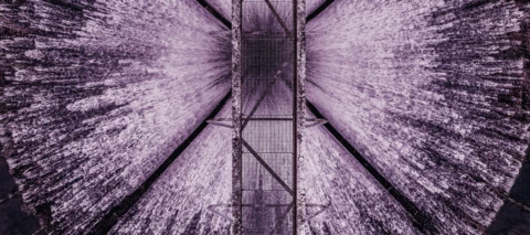 Celebrating Our Community All Stars!