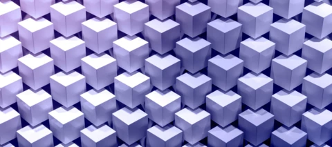 Community Gamification Rank System