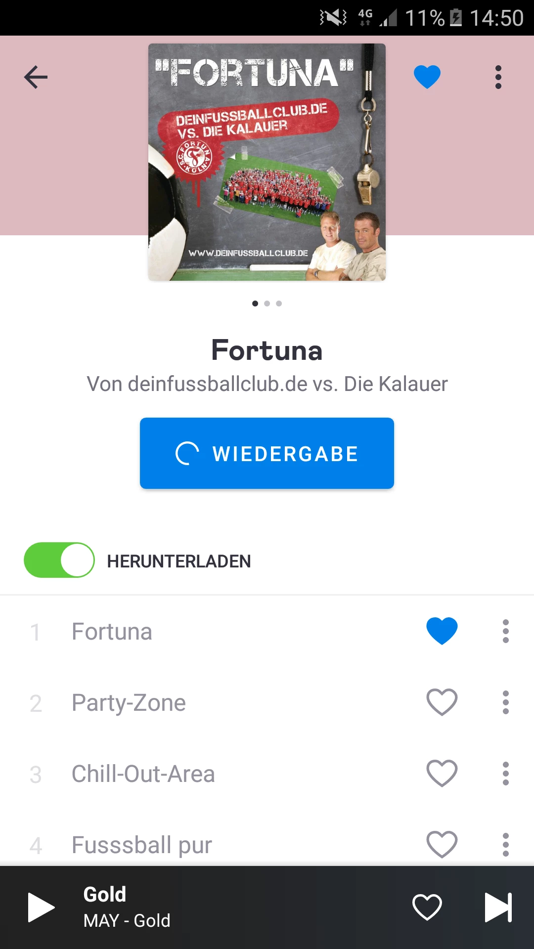 Video Kann Nicht Abgespielt Werden