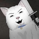 Cranky Cat