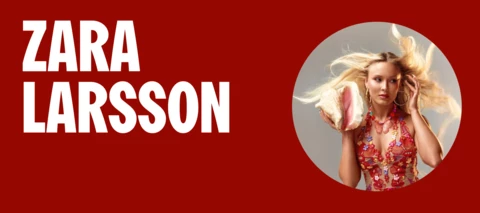 Zara Larsson (do flop ao topo) | gabriel_rw