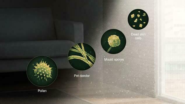 How to Tackle Pollen Season: Top Tips from a Dyson Microbiologist