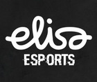 Elisa Esports-guru