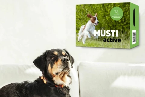 Musti ja Mirri Paikannus on nyt Musti Active!