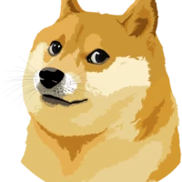 Hiillostaja