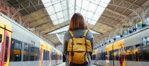 Important update - new travel FAQs (incl. main technical issues)