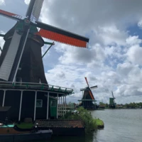PierluigiT