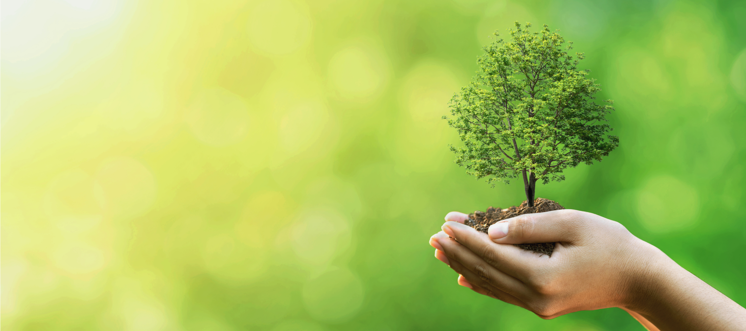 5 ways to reduce your environmental impact this Earth Day