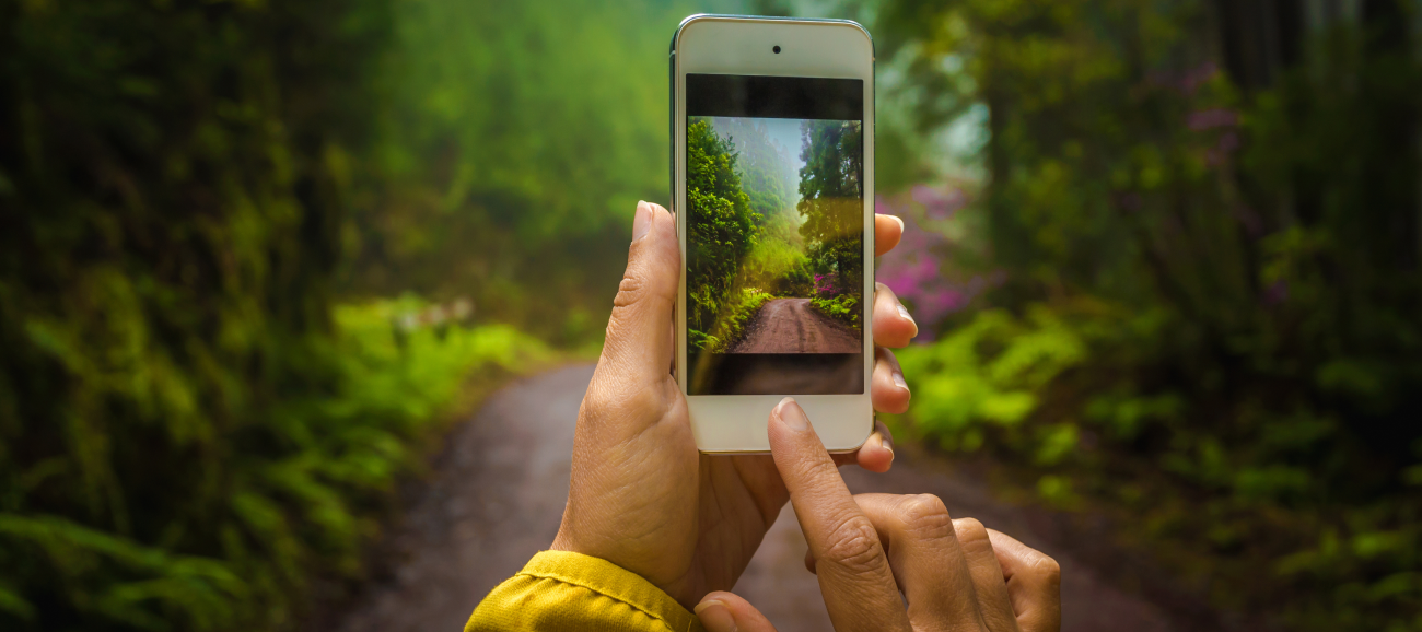 Top tips for taking photos on your phone