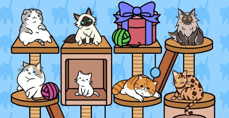 Cat Condo Game for Android - Download