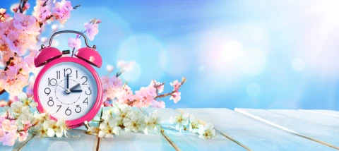 Tips to help you spring into action.