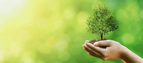 5 ways to reduce your environmental impact this Earth Day.