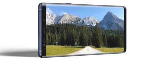 Our pick of the hottest notchless phones.