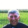 Don Rooke
