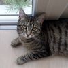 Flossie
