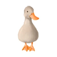 Quack