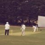 Cricket1