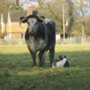 WestSussex
