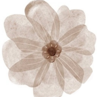 Eenmeisje004