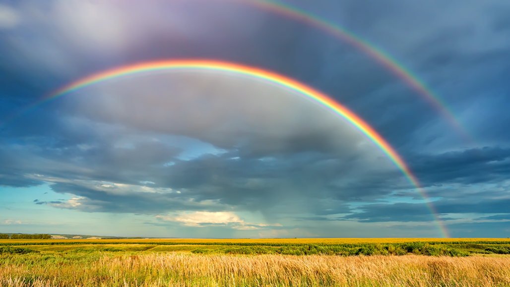 1030_fogbow_explainer-1028x579