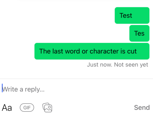 Customer side conversation showing message cut off
