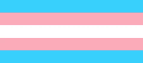 Behoefte aan herkenning in je transitie proces