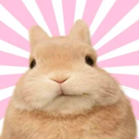 bunsaresilly