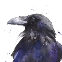 Raven