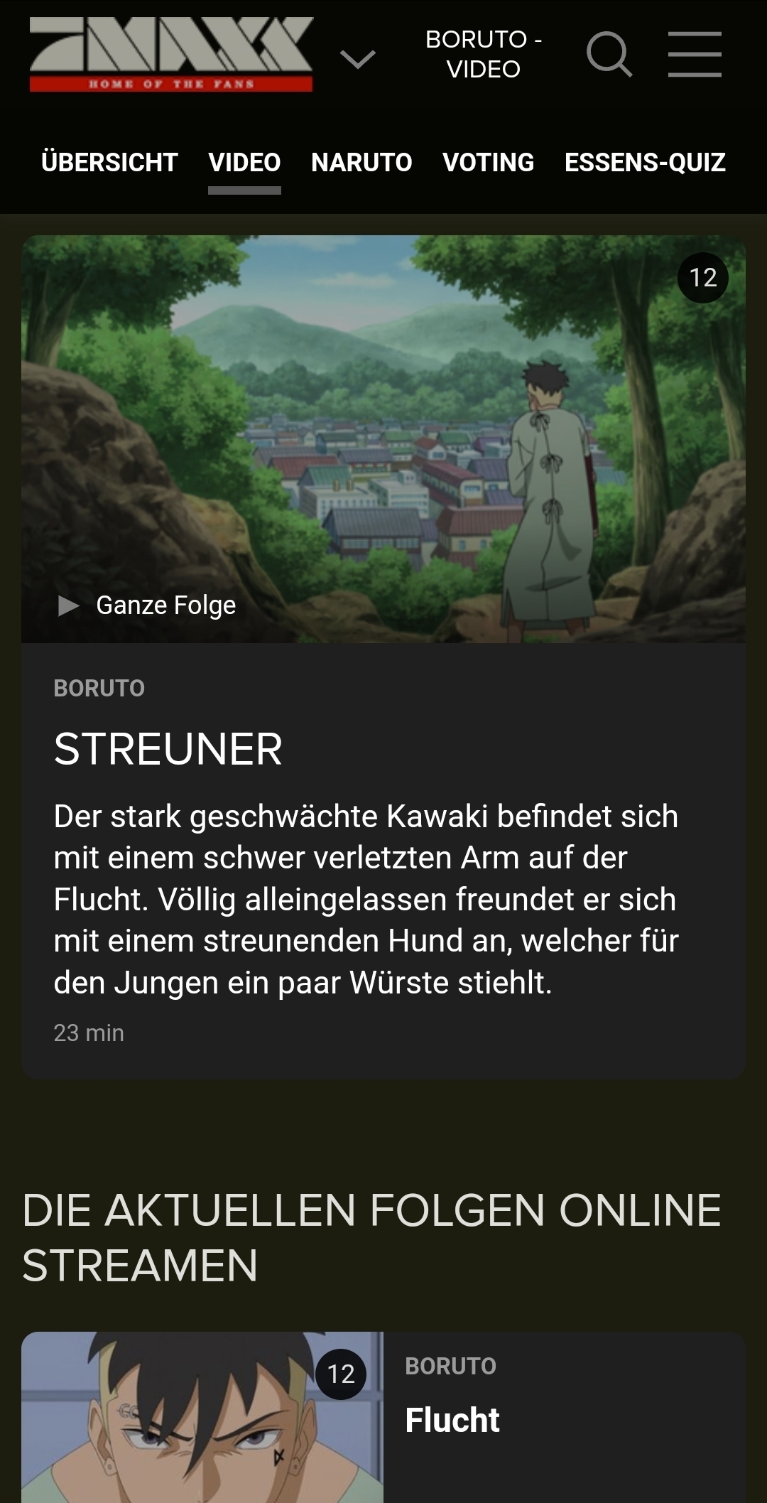 Alle Boruto Folgen auf Netflix!!!😳😳😳 