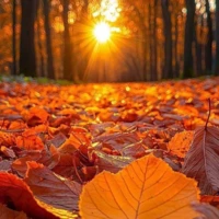 Verdrietig anoniempje